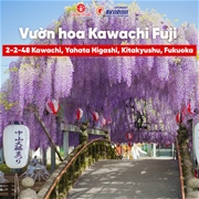 DU LỊCH NHẬT BẢN THÁNG 11 – NGẮM LÁ ĐỎ, HÒA MÌNH MÙA LỄ HỘI